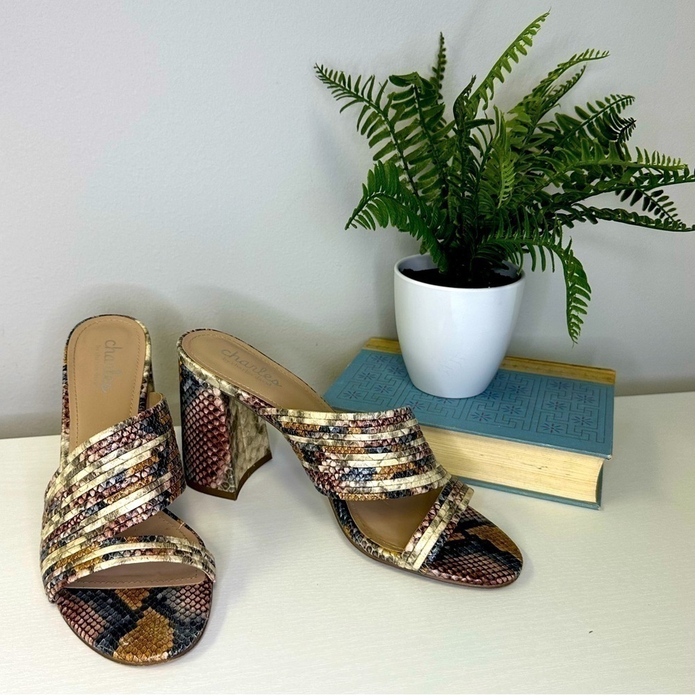 CHARLES by Charles David Rhythmic Sandals Sz 8.5